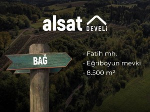 Develi'de Fatih Mahallesinde Şehir Manzaralı Satılık Bağ 