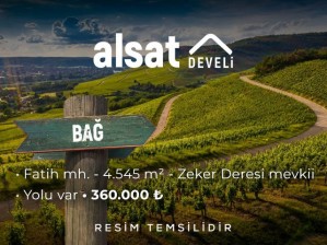 Develi Fatih Mahallesinde Satılık 4.5 Dekar Bağ