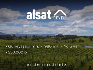 Develi Güneyaşağı Mahallesinde Satılık 1 Dekar Bağ