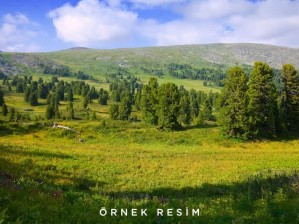 Develi Sindelhöyük Mahallesinde Satılık 8 Dönüm Tarla