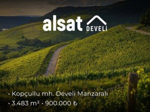 Develi ve Erciyes Manzaralı Satılık Bağ