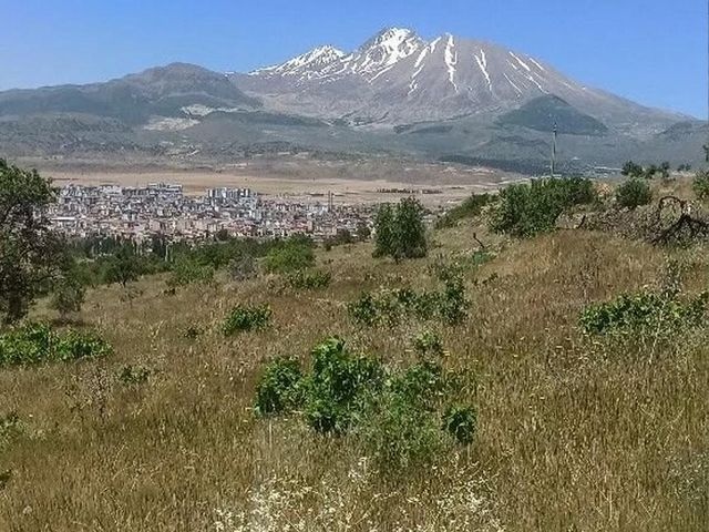 Develi Fatih Mahallesinde Develi Manzaralı Satılık Bağ