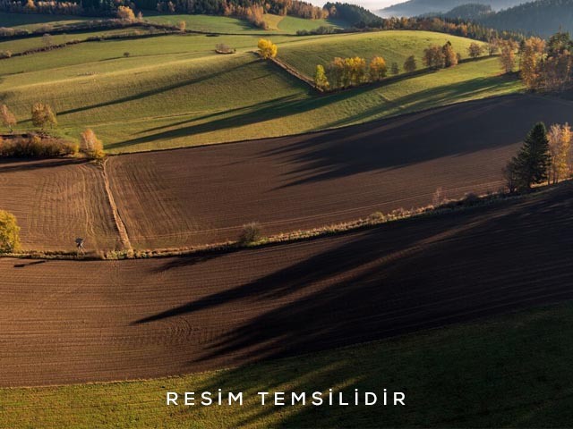 Develi Güneyaşağı Mahallesi Tekkefıdını Mevkiinde Satılık Bağ