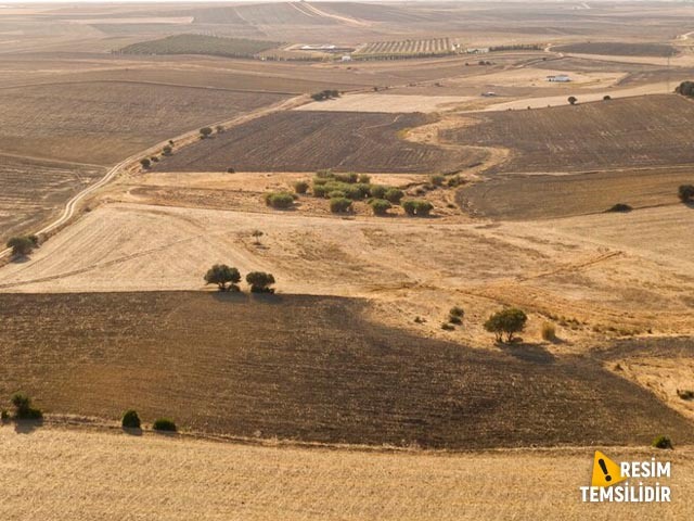 Develi Yeni Mahalle Kızık Yolunda Satılık 25 Dekar Tarla