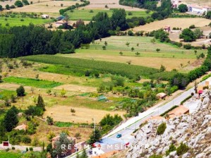 Develi Camiicedit Mahallesinde Köşk Pınarda Kaçırılmaz Fırsat Satılık Bağ