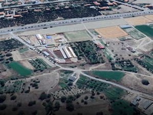 Develi Güneyaşağı Mahallesinde Ana Yola Yakın Satılık Bağ