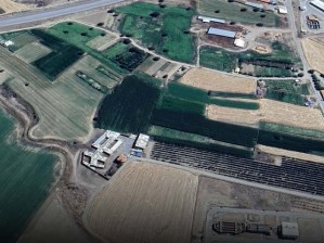 Develi Güneyaşağı Mahallesinde Çevre Yoluna Yakın Satılık Bağ