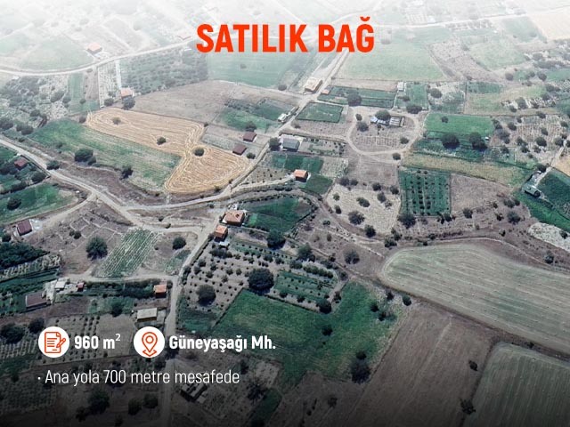 Develi Güneyaşağı Mahallesinde Satılık 960 Metre Bağ