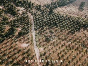 Develi Güneyaşağı Mahallesinde Satılık 980 m2 Bağ