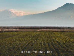 Develi Sindelhöyük Mahallesinde Satılık 16 Dekar Tarla