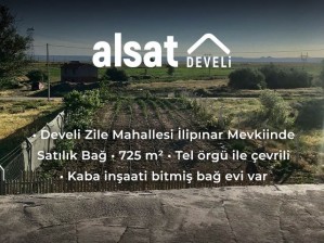 Develi Zile Mahallesi İlipınar Mevkiinde Satılık Bağ