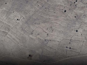 Develi Zile Mahallesinde 5 Dekar Satılık Bağ