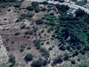 Develi Camicedit Mahallesi Köşkpınar Mevkiinde Satılık Bağ