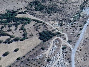 Develi Güneyaşağı Mahallesinde Tel Örgü Çevrili Satılık Bağ