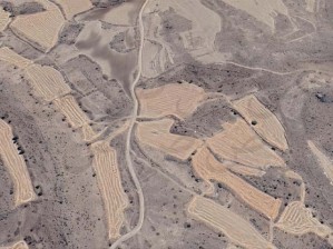 Develi Kulpak Mahallesinde Satılık 9 Dekar Tarla