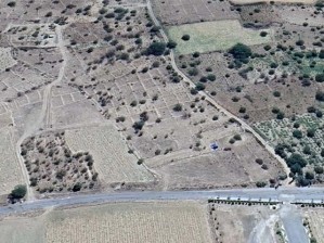 Develi Reşadiye Mahallesinde Asfalt Yola Yakın Satılık Bağ