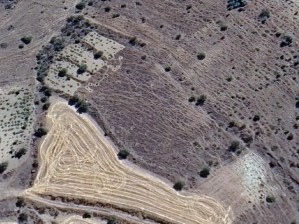 Develi Sarıca Mahallesinde Satılık 666 m2 Bağ