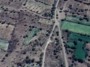 Develi Sarıca Mahallesinde Satılık Bağ