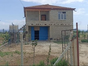 Develi Sarıca Mahallesinde Satılık Meyve Bahçesi