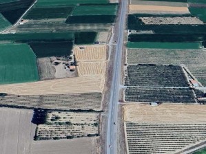 Develi Zile Mahallesinde Ana Yol Üzeri Satılık Tarla