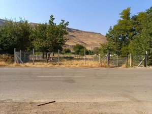 Develi Zile Mahallesinde Kaçmaz Fırsat Asfalt Yola Sıfır Satılık Bağ