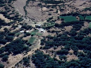 Develi Zile Mahallesinde Satılık Bahçe