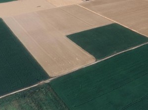 Develi Zile Mahallesinde Satılık Sulak Tarla